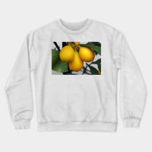 Lemons Crewneck Sweatshirt